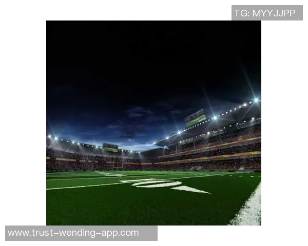 足球场橄榄球场